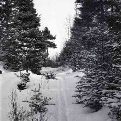 Negative, Sheet Film