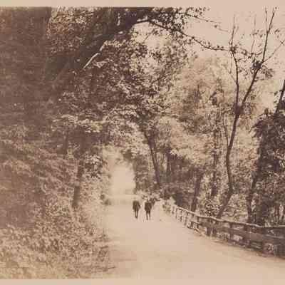 Photograph, Black-and-White