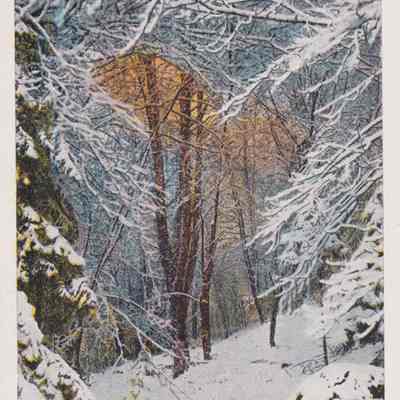 Mt. Baker Trail in Winter, Saranac Lake, Adirondacks, N. Y.