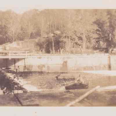 Photograph, Black-and-White