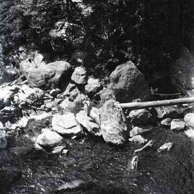 Negative, Sheet Film