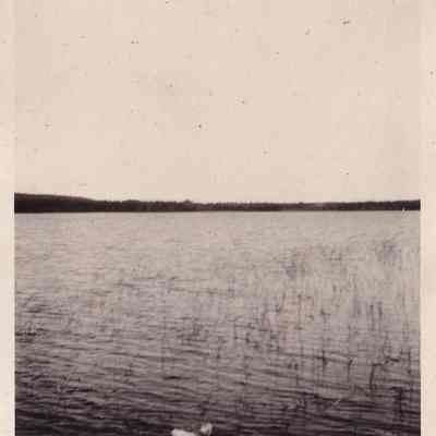 Photograph, Black-and-White