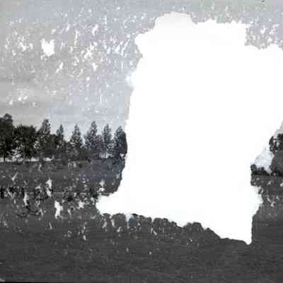 Negative, Sheet Film