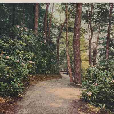 Postcard