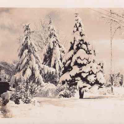 Photograph, Black-and-White
