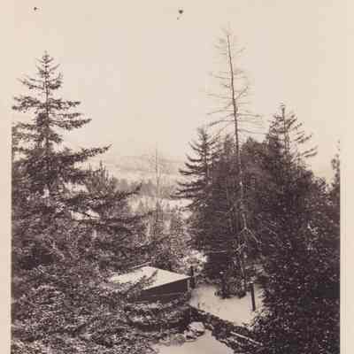 Photograph, Black-and-White