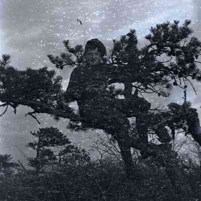 Negative, Sheet Film