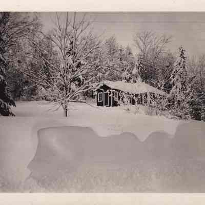 Photograph, Black-and-White