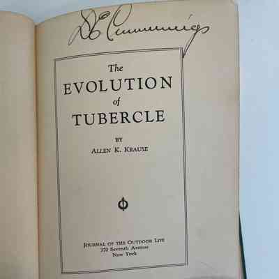 The Evolution of Tubercule