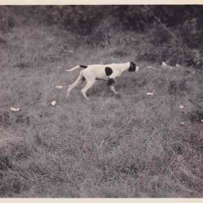 Photograph, Black-and-White