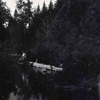 Negative, Sheet Film