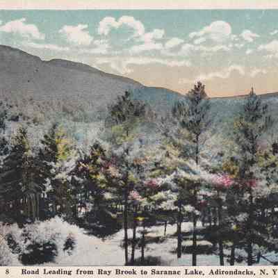 Road Leading from Ray Brook to Saranac Lake, Adirondacks, N. Y.