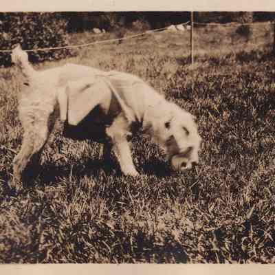 Photograph, Black-and-White
