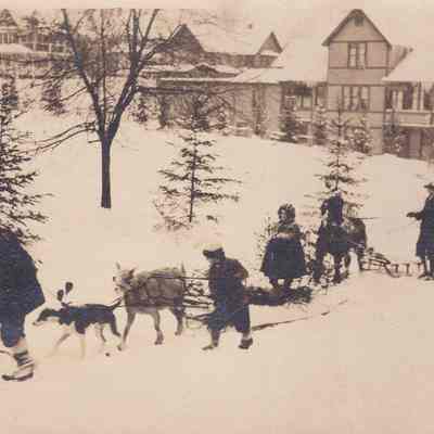 Postcard