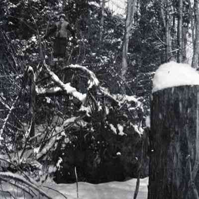 Negative, Sheet Film