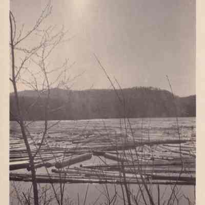 Photograph, Black-and-White