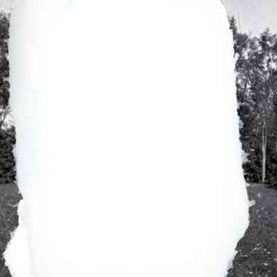 Negative, Sheet Film