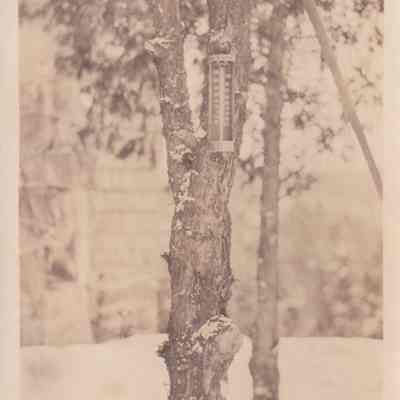 Photograph, Black-and-White