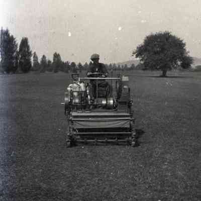 Negative, Sheet Film