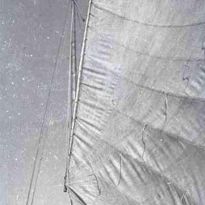 Negative, Sheet Film