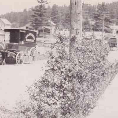 Photograph, Black-and-White