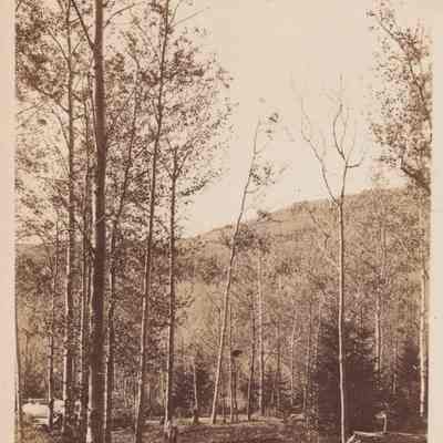 Photograph, Black-and-White