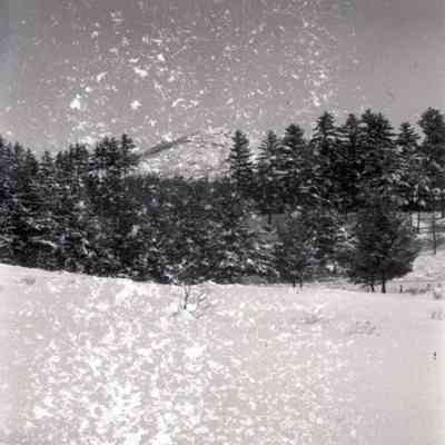Negative, Sheet Film