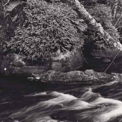 Photograph, Black-and-White