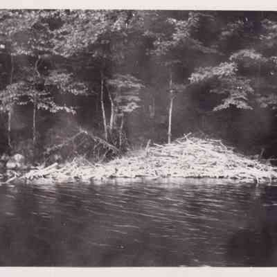 Beaver House on Ragged Lake near Spring Brook