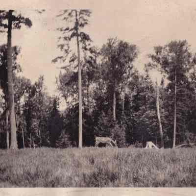 Deer No 2 Camp 1925