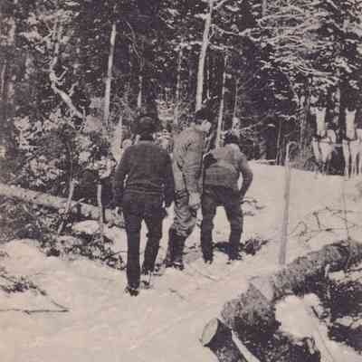 Winter Scene, Lake Kushaqua, Adirondack Mts., N. Y.