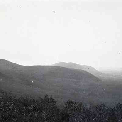 Negative, Sheet Film