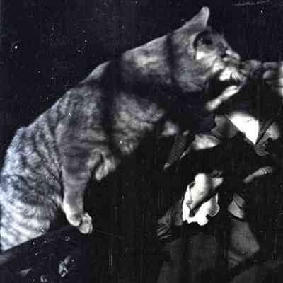 Negative, Sheet Film