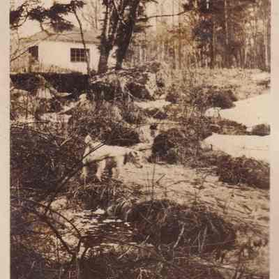 Photograph, Black-and-White
