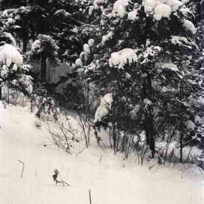 Negative, Sheet Film