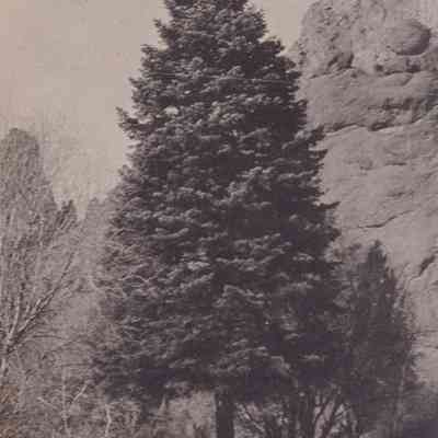 Photograph, Black-and-White