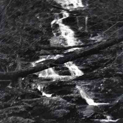 Negative, Sheet Film