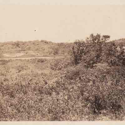 Photograph, Black-and-White