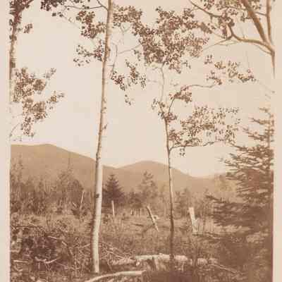 Photograph, Black-and-White