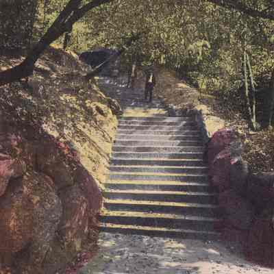 Old Stone Stairway, Prospect Park, Brooklyn, N.Y.