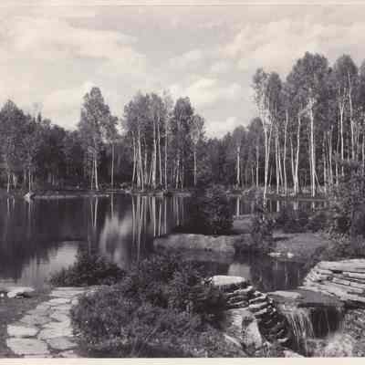 Ray Brook Hospital, the Pond