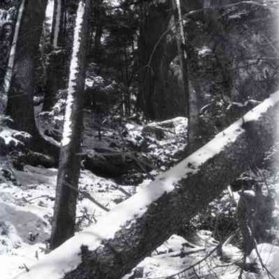 Negative, Sheet Film