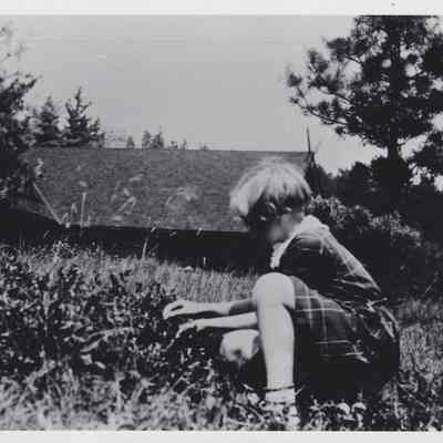 Picking Blueberries
