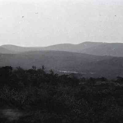 Negative, Sheet Film