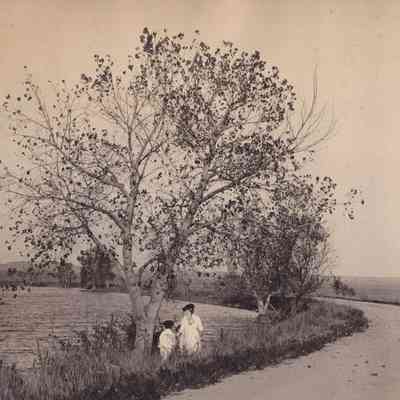 Photograph, Black-and-White