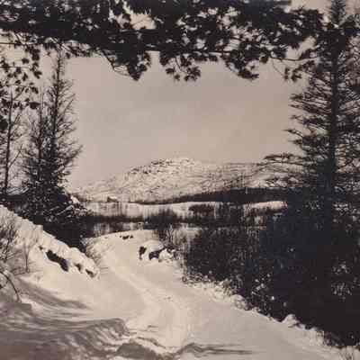 Photograph, Black-and-White
