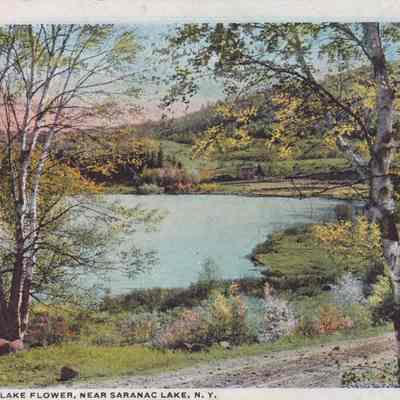 A Glimpse of Lake Flower, Near Saranac Lake, N. Y.