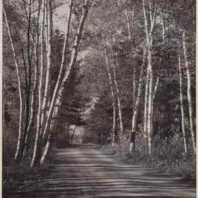 Photograph, Black-and-White