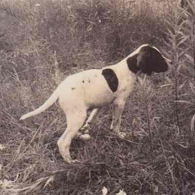 Photograph, Black-and-White