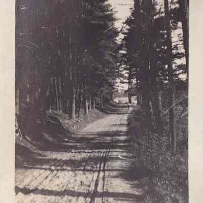 Photograph, Black-and-White